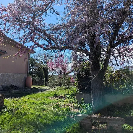 Moustier Apartamento *