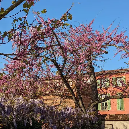 Moustier * Montauban