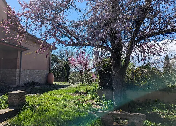 Moustier Apartment *